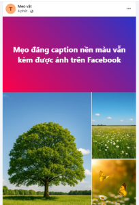Mẹo Đăng Caption Nền Màu Vẫn Kèm Được Ảnh Trên Facebook